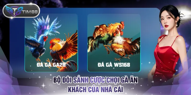 Bộ đôi sảnh cược chọi gà ăn khách của nhà cái