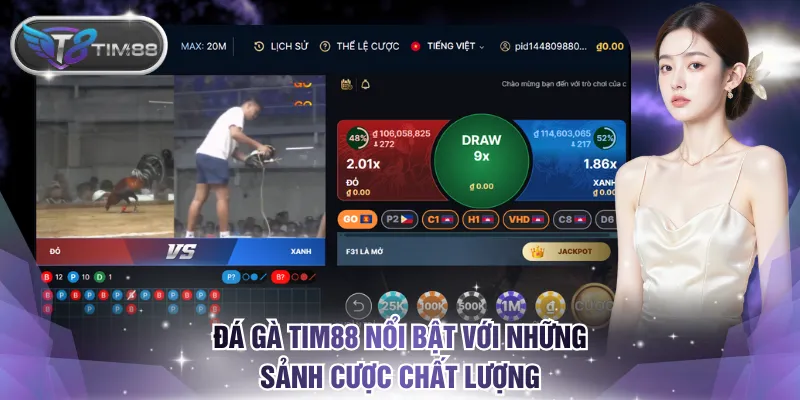Đá gà TIM88 nổi bật với những sảnh cược chất lượng