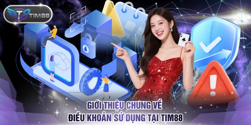 Giới thiệu chung về điều khoản sử dụng tại TIM88