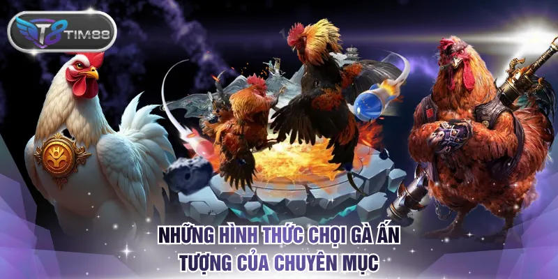 Những hình thức chọi gà ấn tượng của chuyên mục